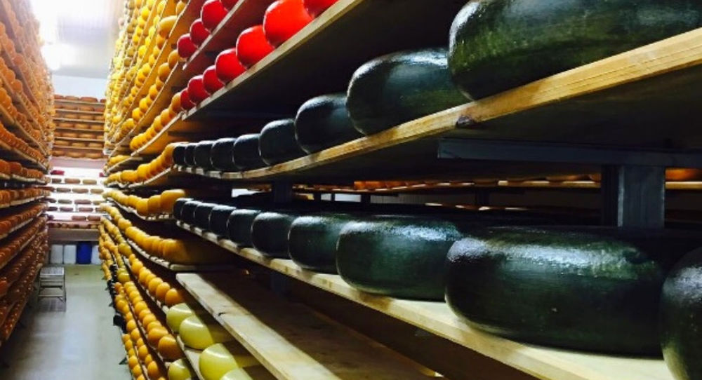 Mountainoak Cheese Wheels